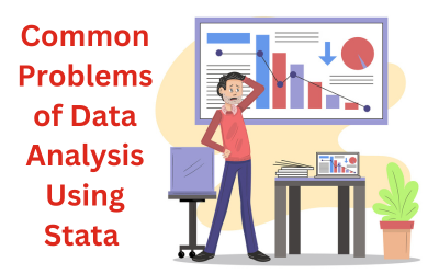 Common Problems of Data Analysis Using Stata According to an Expert
